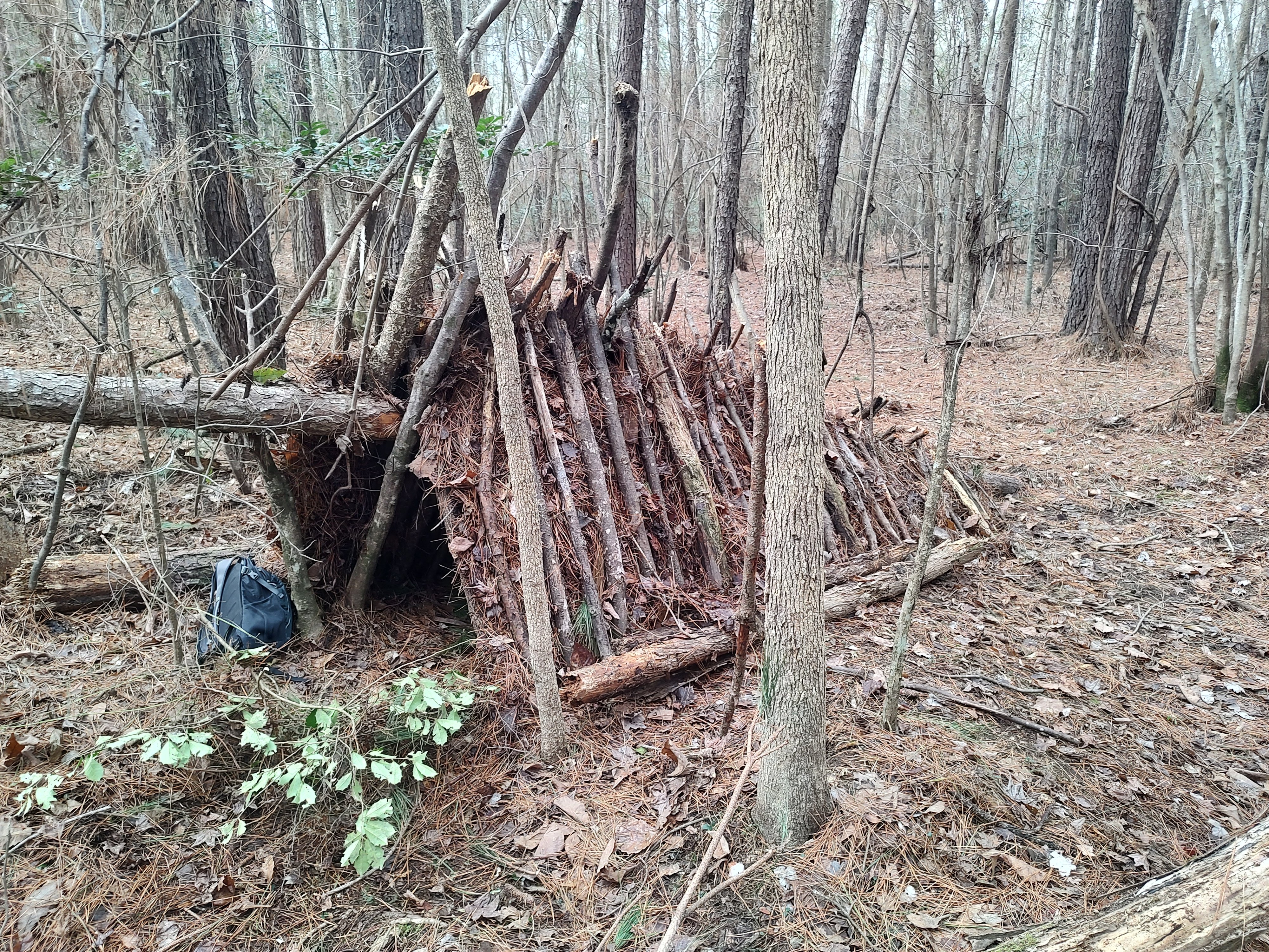 Shelter Building